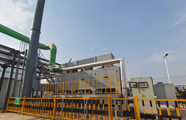 某生物科技（山東）有限公司生產(chǎn)車(chē)間廢氣治理項(xiàng)目